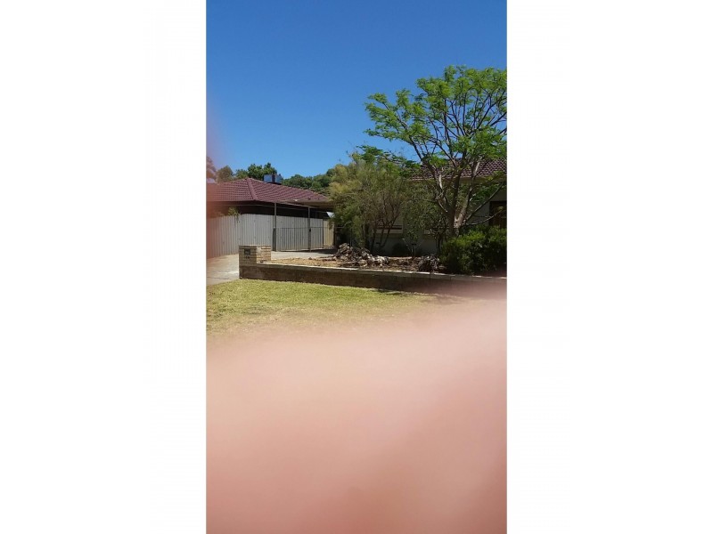 30 Jacqueline Street, Bayswater WA 6053