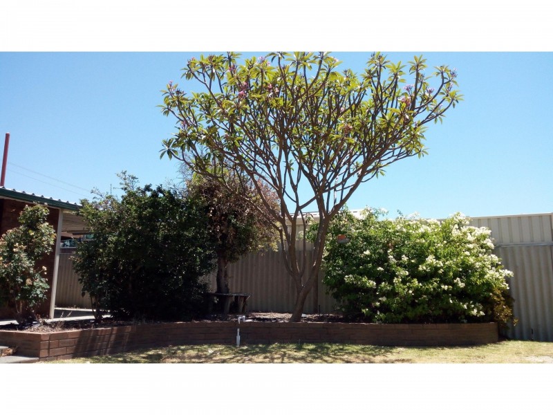 176 Kenwick Road, Kenwick WA 6107