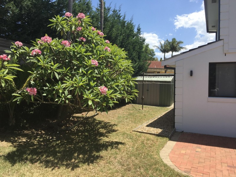 15A Ryrie Avenue, Cromer NSW 2099