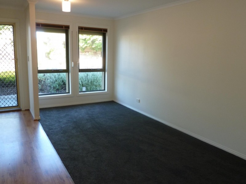30 Allambee Avenue, Edwardstown SA 5039