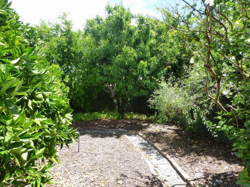 16B Surrey Street, Dianella WA 6059