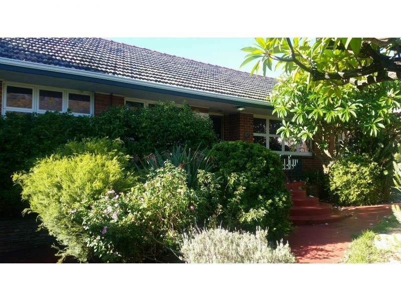 62 Alma Road, Mount Lawley WA 6050