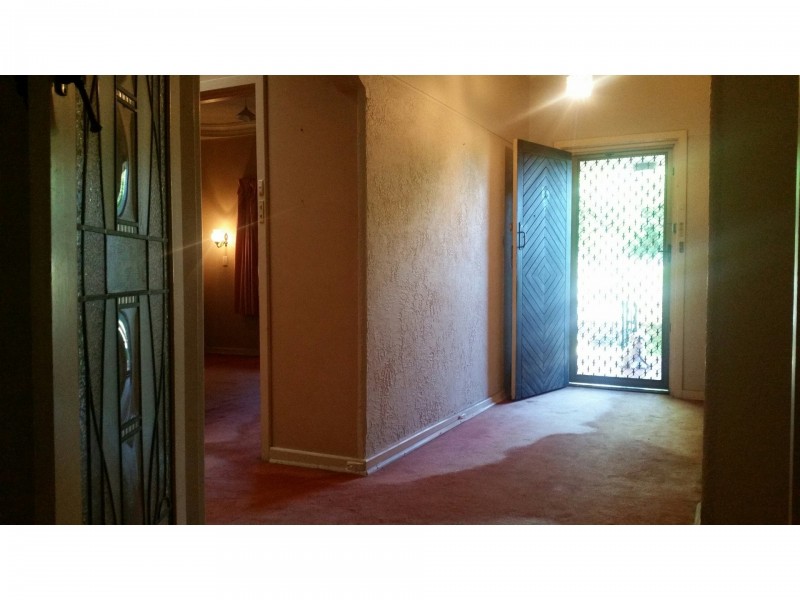 62 Alma Road, Mount Lawley WA 6050