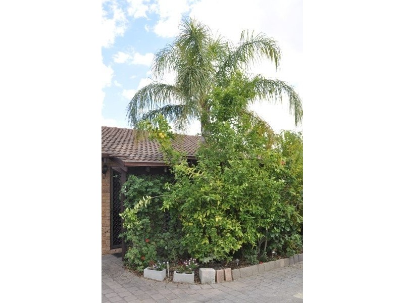 17 Haig Street, Tuart Hill WA 6060