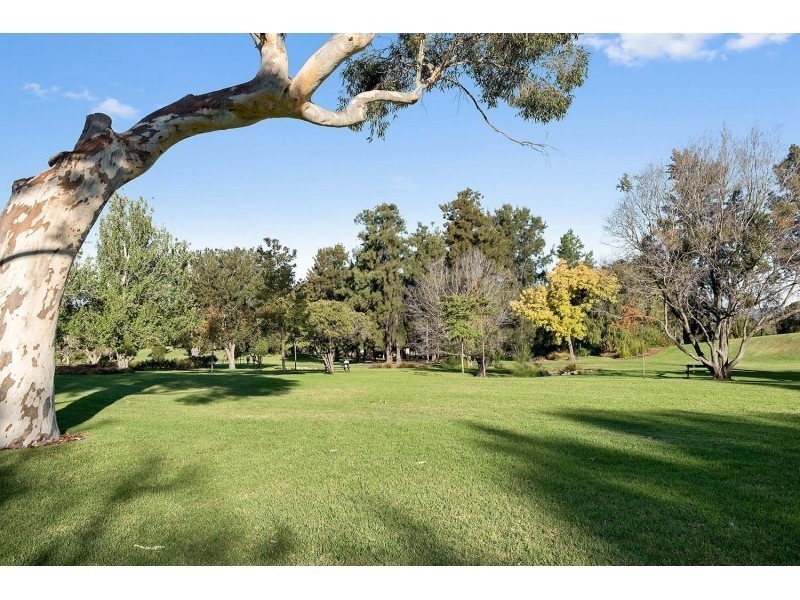 1B/100 South Terrace, Adelaide SA 5000