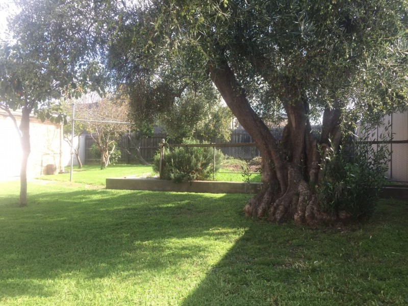 17 Highridge crescent, Airport West VIC 3042