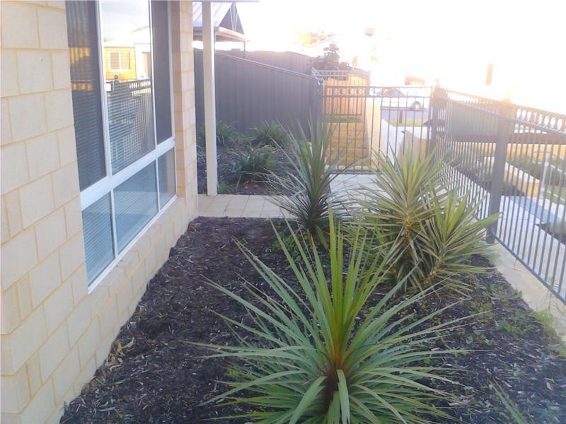 3 cornwall lane, Baldivis WA 6171