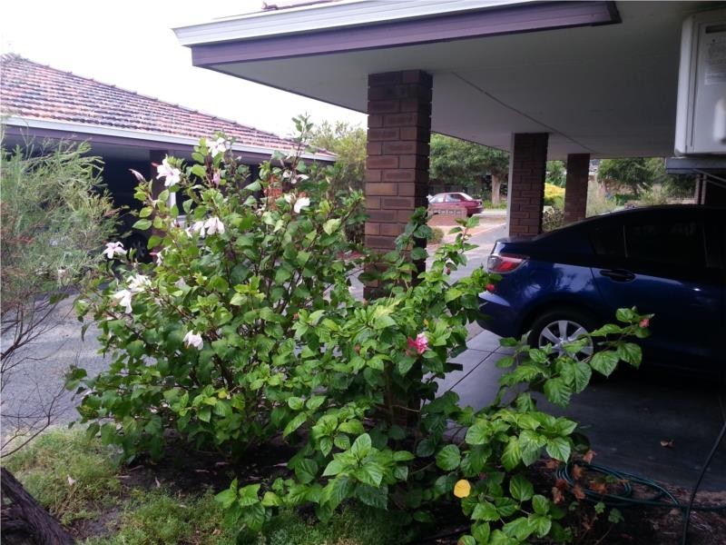 2/89 Powell Street, Joondanna WA 6060