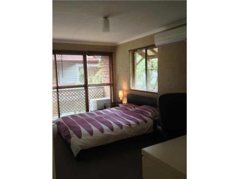 14 Brigalow Street, Paddington QLD 4064