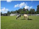47 Ruffles Road, Willow Vale QLD 4209