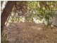 31B Dudley Street, Midland WA 6056