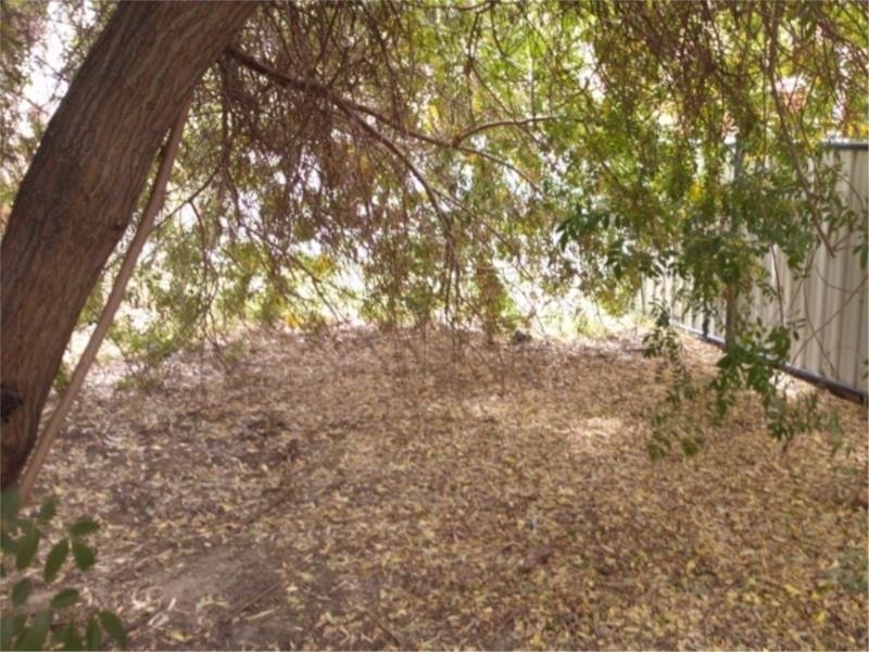 31B Dudley Street, Midland WA 6056