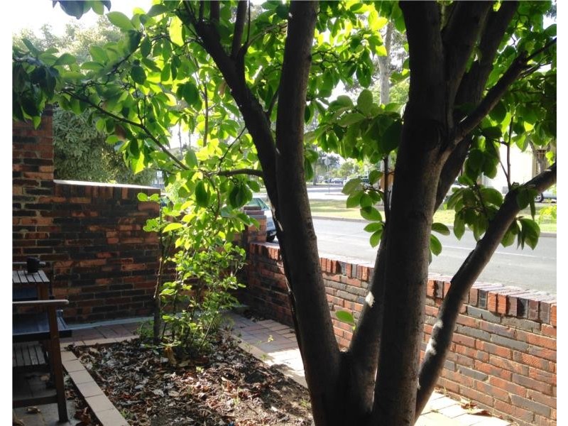 7 Haines Street, North Melbourne VIC 3051