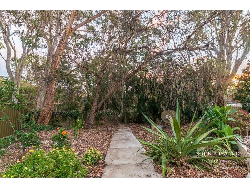 15 Altair Avenue West, Hope Valley SA 5090