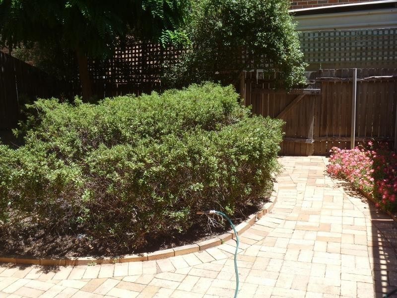 5/201 Goyder Street, Narrabundah ACT 2604