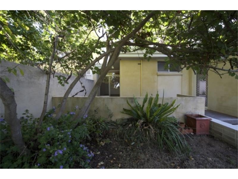 225 Alice Street, Doubleview WA 6018