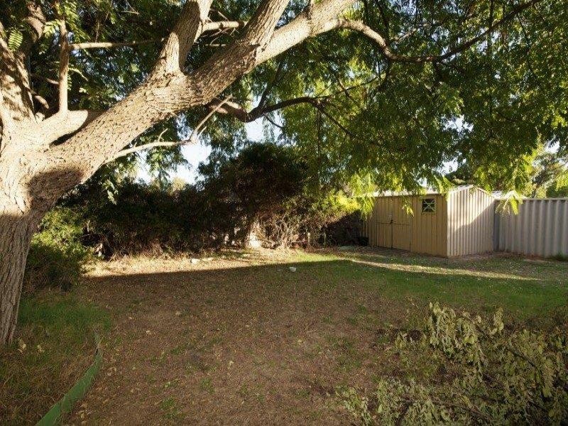 1 Fabales Close, Beeliar WA 6164