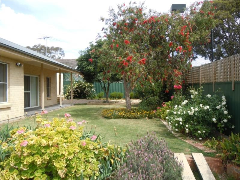 78 Hill Street, Mitcham SA 5062