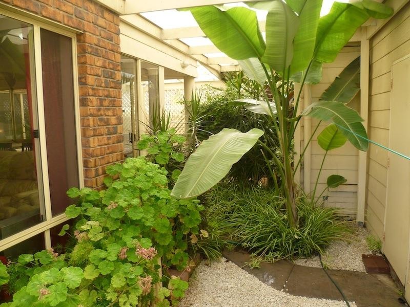 49 Byron Street, Glenelg SA 5045