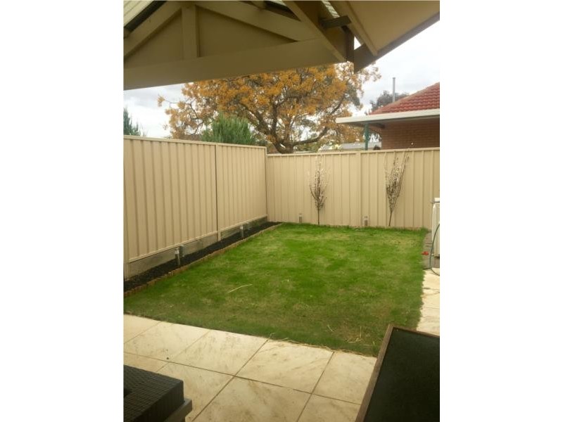 55 Carlisle Street, Camden Park SA 5038