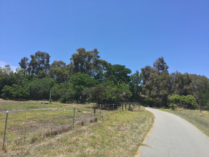 Forrestfield WA 6058