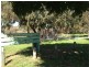 42 Garden Road, Spearwood WA 6163