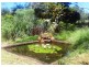 Wondecla QLD 4887