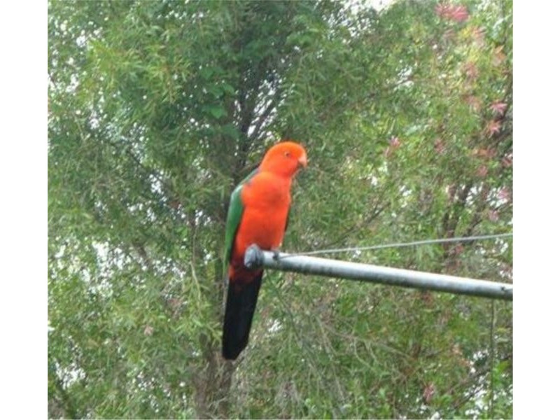 Wondecla QLD 4887