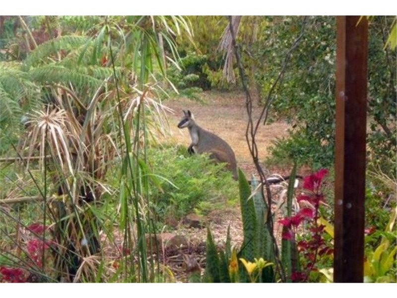 Wondecla QLD 4887
