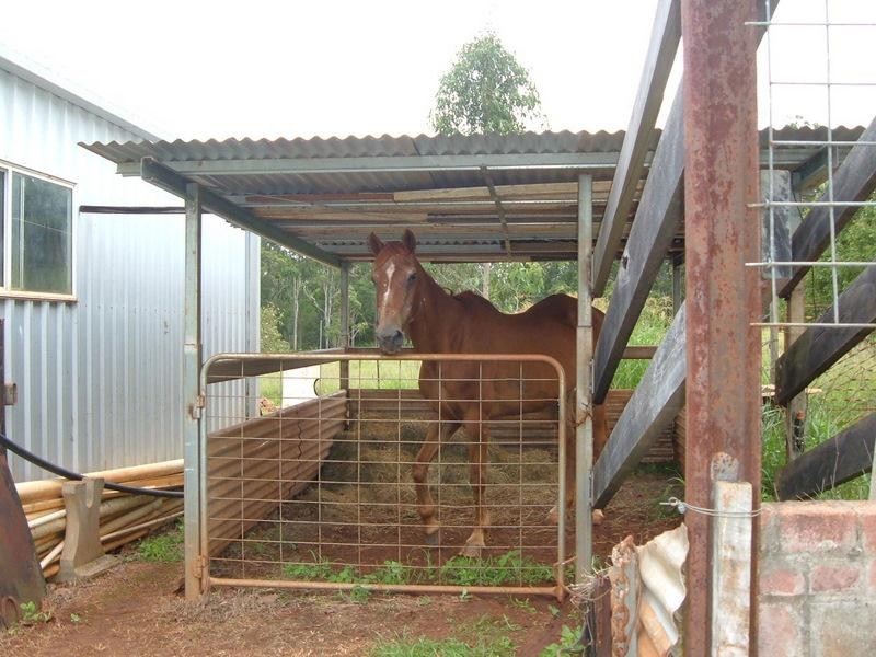Wondecla QLD 4887