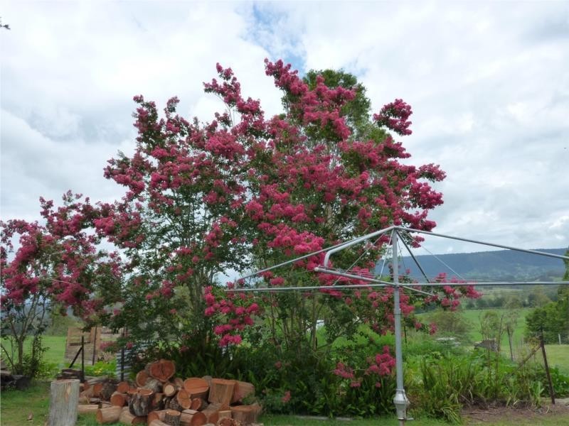 Old Bonalbo NSW 2469