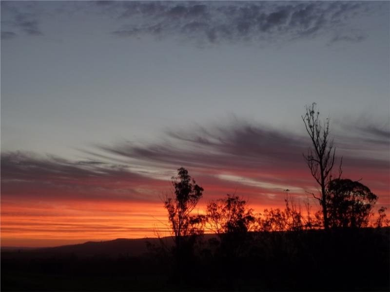 Old Bonalbo NSW 2469