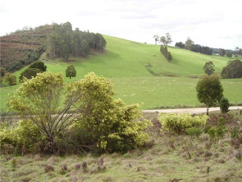 5 Dawkins road, Lower Beulah TAS 7306