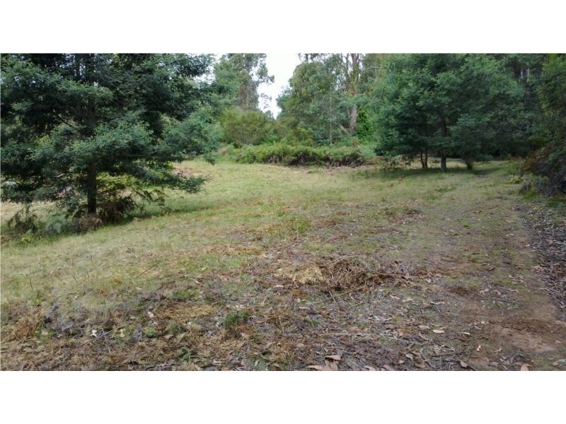 5 Dawkins road, Lower Beulah TAS 7306