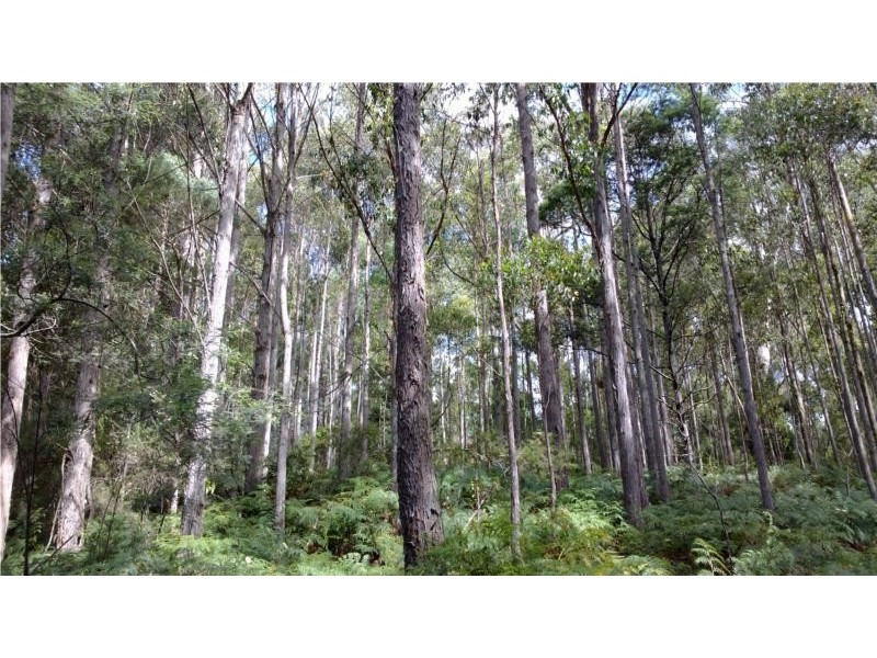 5 Dawkins road, Lower Beulah TAS 7306