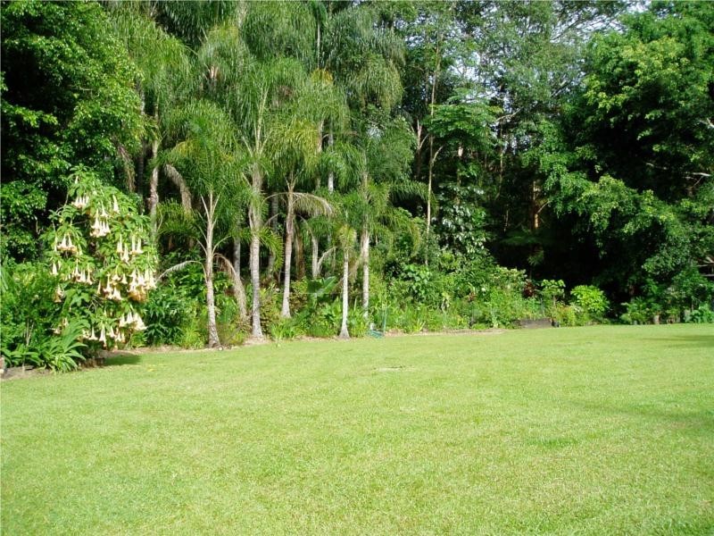 219 Blindmouth Road, Main Arm NSW 2482