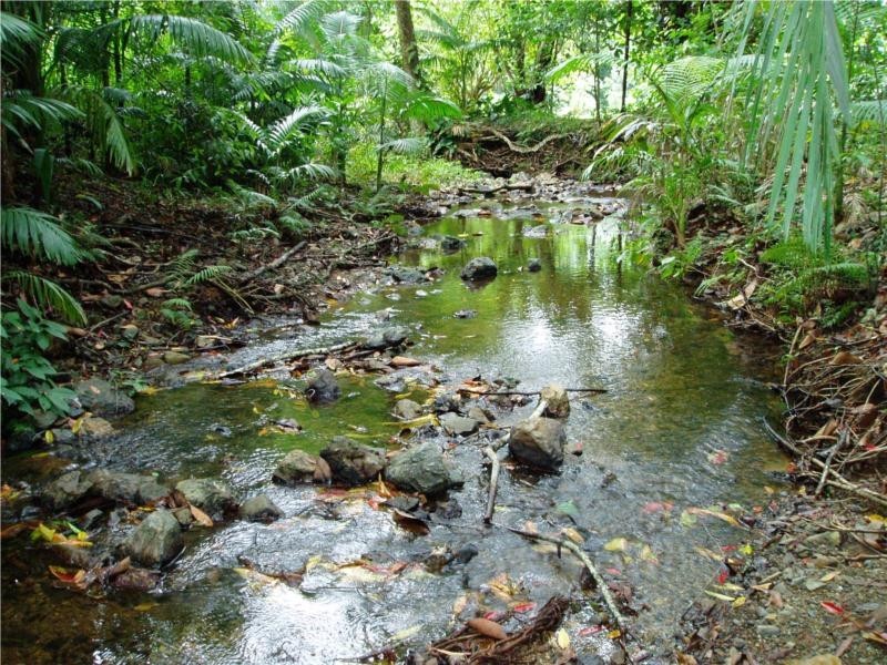 219 Blindmouth Road, Main Arm NSW 2482