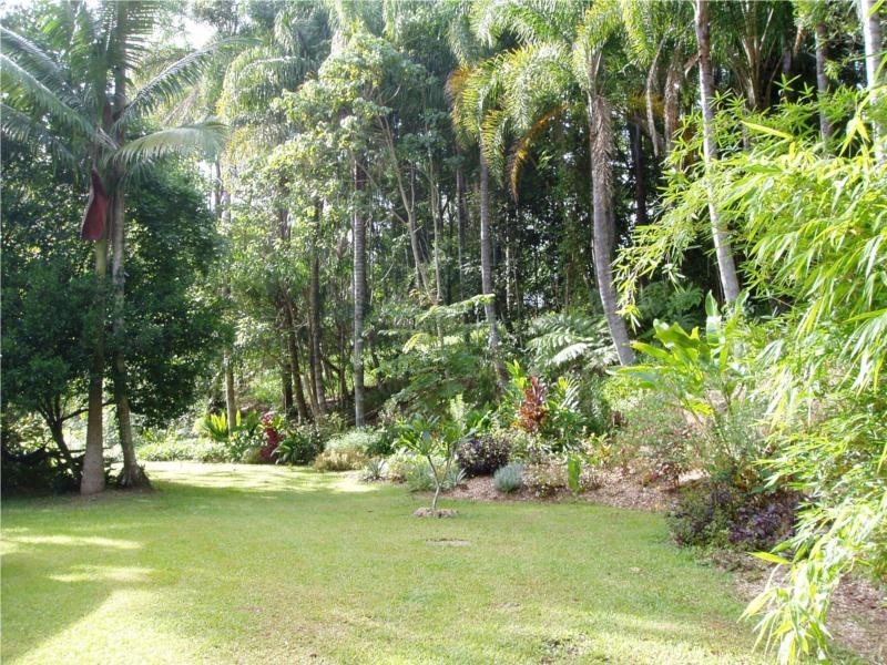 219 Blindmouth Road, Main Arm NSW 2482