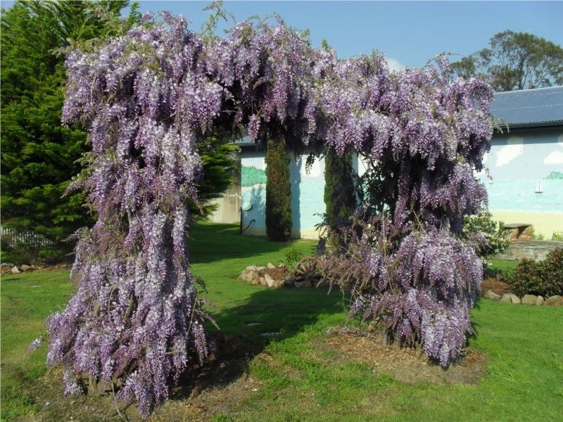 321  Aerodrome Road, Stanthorpe QLD 4380