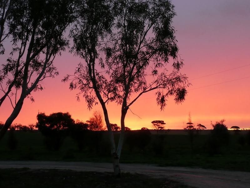 20316 Liebeck Road, Bruce Rock WA 6418