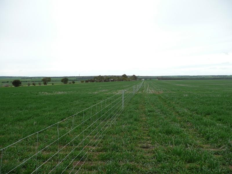 20316 Liebeck Road, Bruce Rock WA 6418