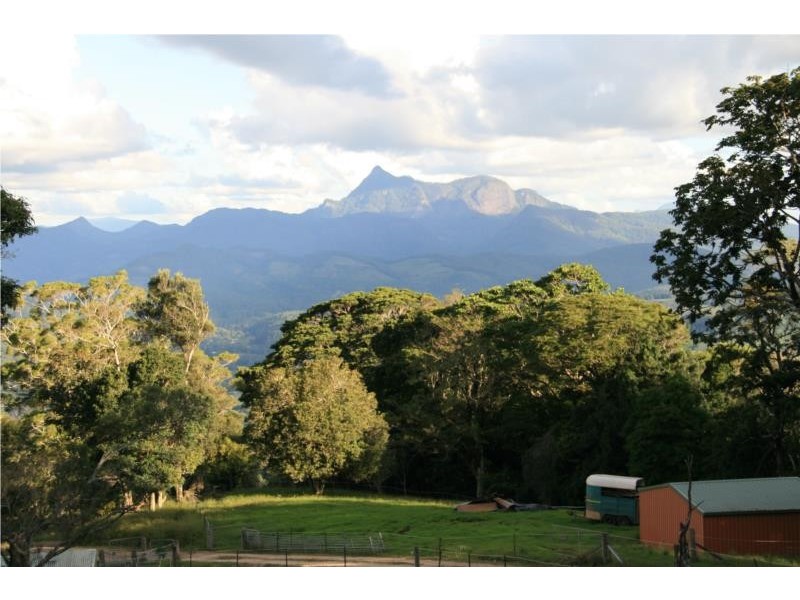 Chillingham NSW 2484