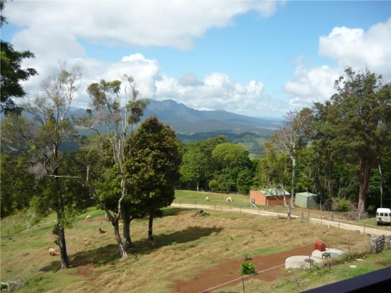 Chillingham NSW 2484