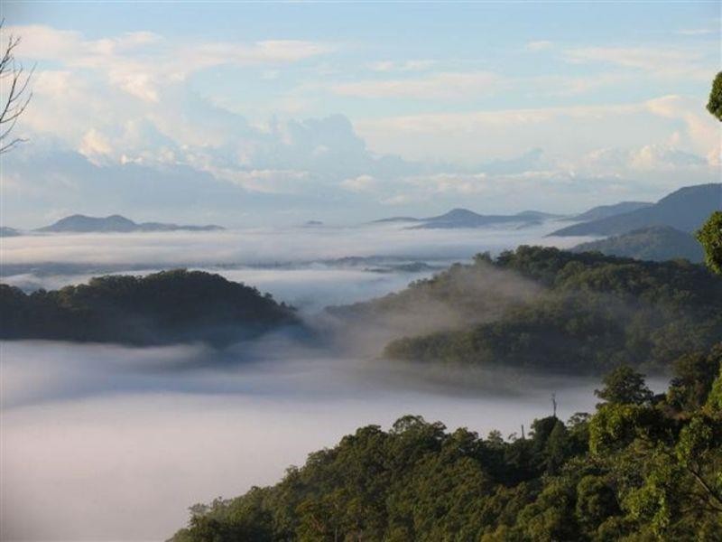 Chillingham NSW 2484