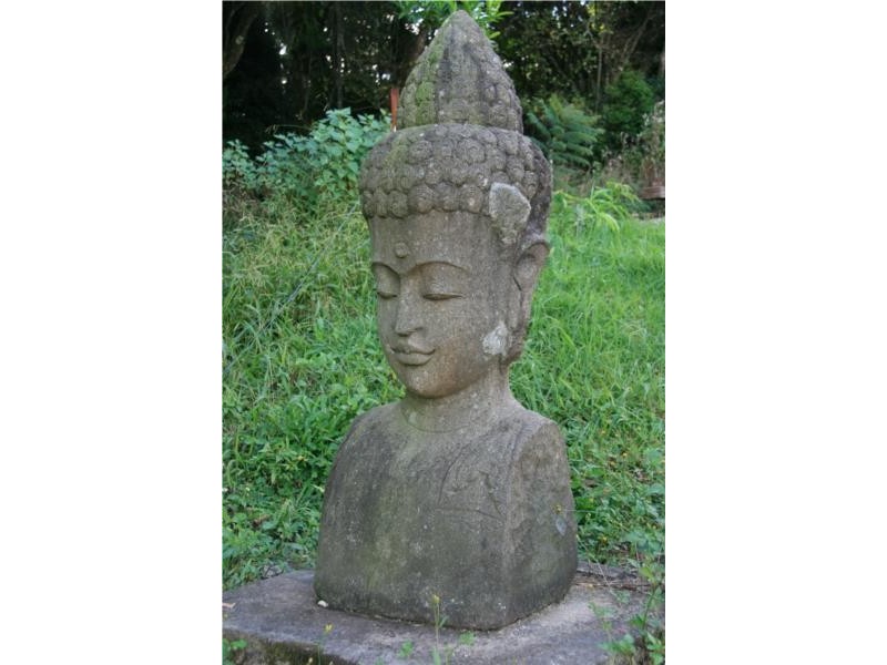 Chillingham NSW 2484