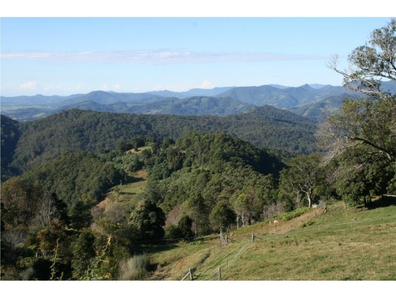 Chillingham NSW 2484