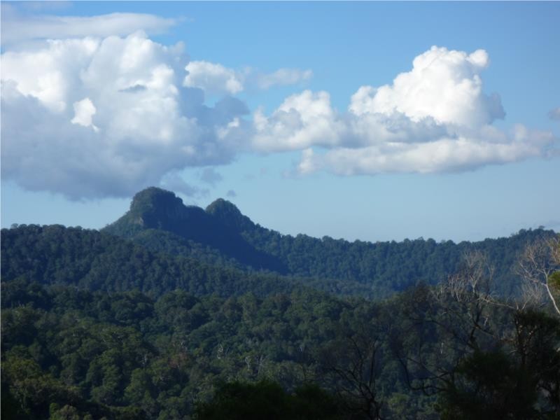 Chillingham NSW 2484