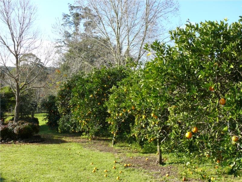 23 Kidmans Lane, Wyong Creek NSW 2259