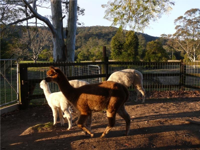 23 Kidmans Lane, Wyong Creek NSW 2259