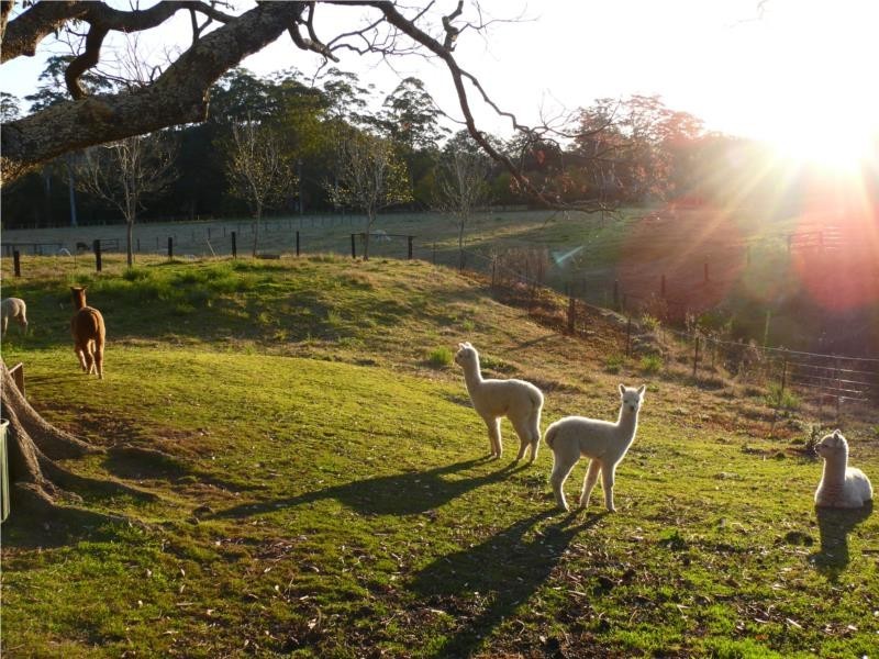 23 Kidmans Lane, Wyong Creek NSW 2259